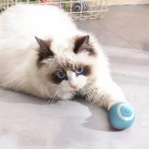 Cat-Interactive-Ball-Training-Self-moving-Kitten-Electric-Cat-Ball-Toys-Electronic-Automatic-Rolling-Magic-Ball-1.webp