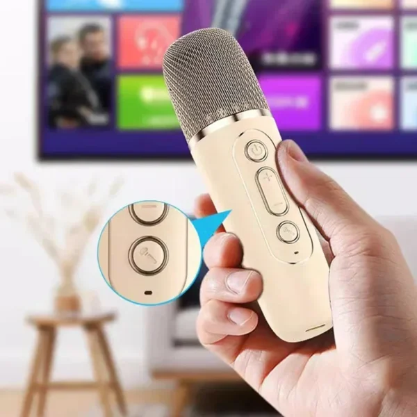 K12 Wireless Microphone Karaoke Machine Bluetooth Speaker KTV HIFI Stereo Sound RGB Colorful LED Lights For Outdoor Home Party